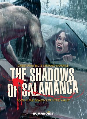 Cover of the book The Shadows of Salamanca #3 : The Demons of Little Valley by Rebecca Fox