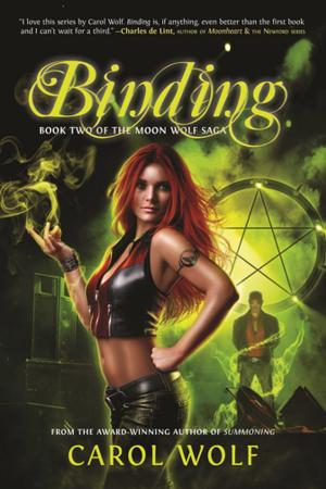 Cover of the book Binding by Harry Turtledove