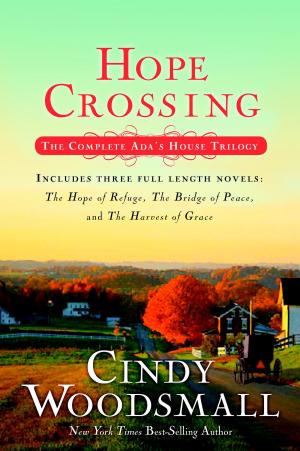 Cover of the book Hope Crossing by P. A. Holt