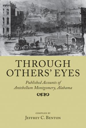 Cover of the book Through Others' Eyes by Jacqueline Matte