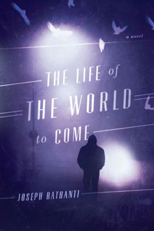 Cover of the book The Life of the World to Come by Steven Frye, Matthew J. Bruccoli