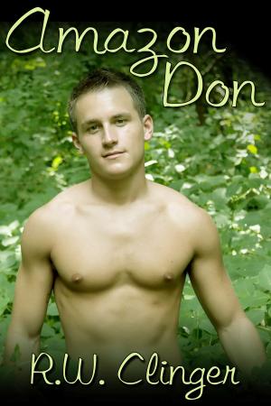 Cover of the book Amazon Don by Saffron Bacchus