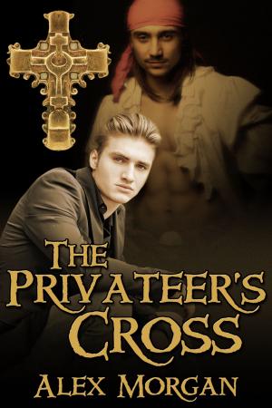 Cover of the book The Privateer's Cross by AR DeClerck