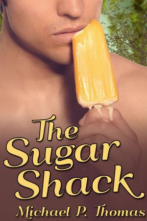 bigCover of the book The Sugar Shack by 