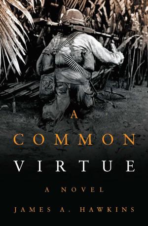 Cover of the book A Common Virtue by Anthony D. McIvor