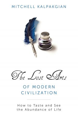 Cover of The Lost Arts of Modern Civilization