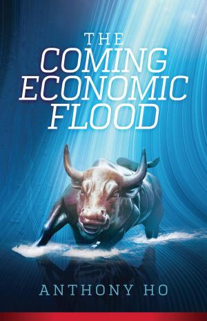 Cover of the book The Coming Economic Flood by Freddy Vest