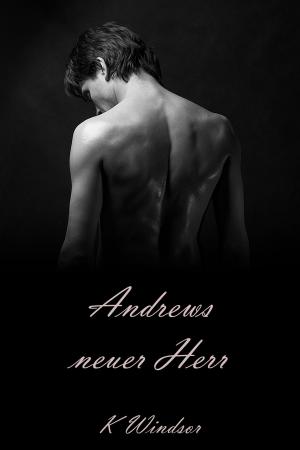 Book cover of Andrews neuer Herr