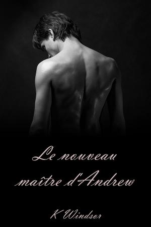 Book cover of Le Nouveau Maître d'Andrew