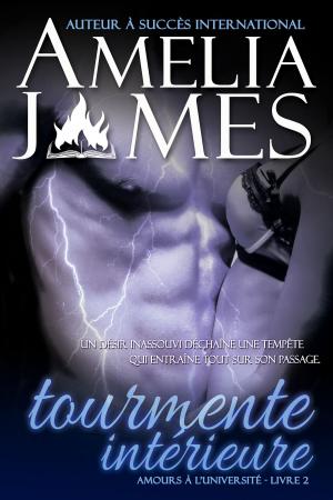 Cover of the book Tourmente intérieure by Adelaide Thorne