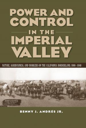 Cover of the book Power and Control in the Imperial Valley by Justin S. Vaughn, Jennifer R. Mercieca