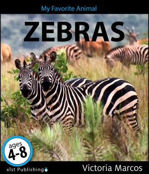 Cover of the book My Favorite Animal: Zebras by Nancy Streza
