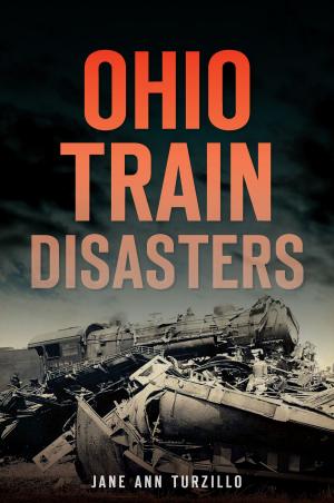 Cover of the book Ohio Train Disasters by Heather E. Stivison
