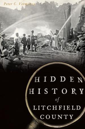 Cover of the book Hidden History of Litchfield County by Joel Hawkins, Terry Bertolino