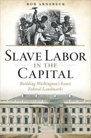 Book cover of Slave Labor in the Capital