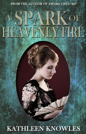 bigCover of the book A Spark of Heavenly Fire by 
