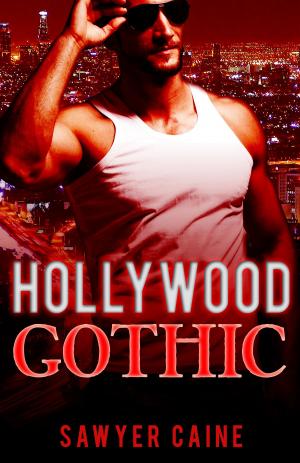 Book cover of Hollywood Gothic