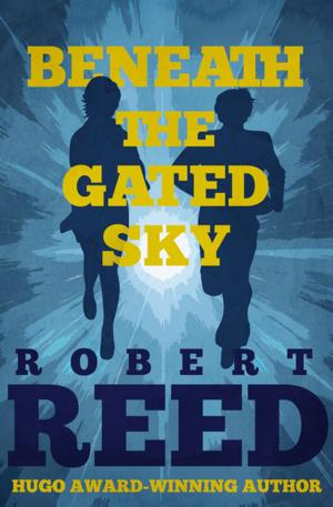 Cover of the book Beneath the Gated Sky by Martin J. Smith