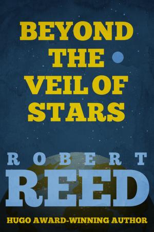 Cover of the book Beyond the Veil of Stars by Robert O'Harrow Jr., The Washington Post
