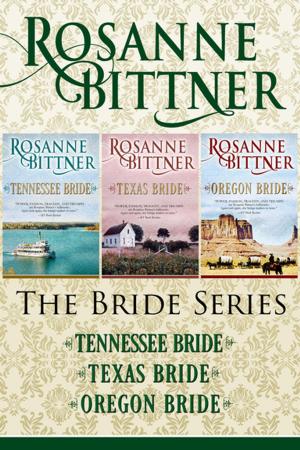 Cover of the book The Bride Series by Donna Russo Morin