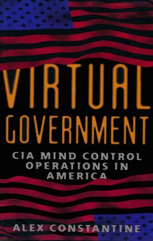Book cover of Virtual Government