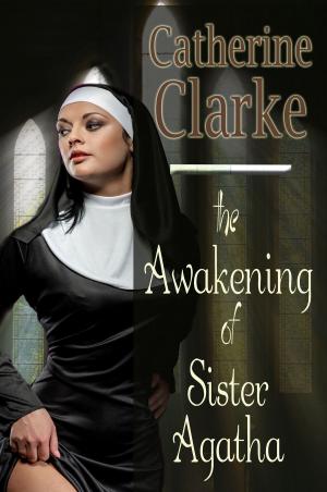 bigCover of the book The Awakening of Sister Agatha by 