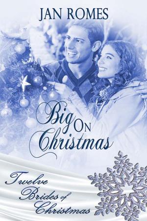 Cover of the book Big on Christmas by Rachael Richey