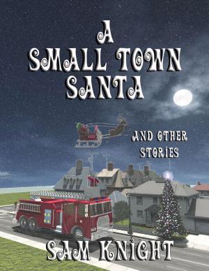 Cover of the book A Small Town Santa by Thomas H. Harris