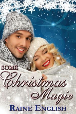 Cover of the book Some Christmas Magic by Mina Black