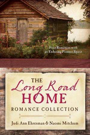 Cover of the book The Long Road Home Romance Collection by Robin Caroll