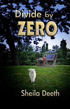 Cover of the book Divide by Zero by Second Wind