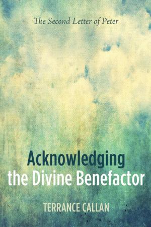 Cover of the book Acknowledging the Divine Benefactor by Vincent Peillon