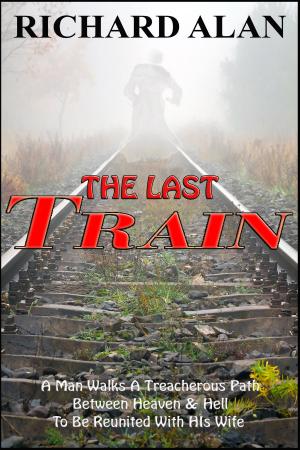 Cover of the book The Last Train by Christopher Brennan
