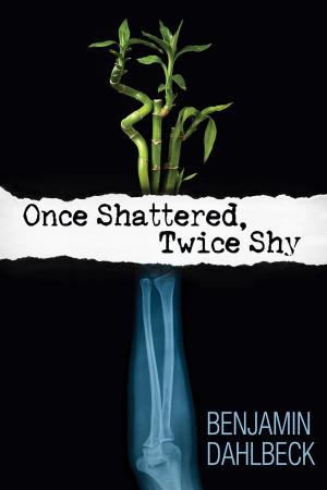 Cover of the book Once Shattered, Twice Shy by Melisse Aires