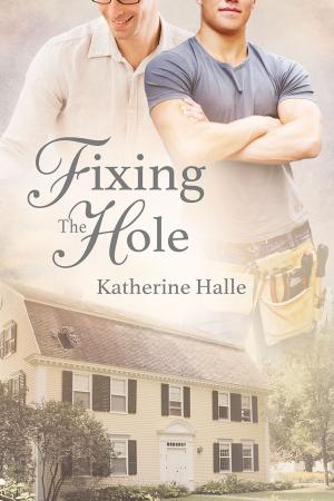 Cover of the book Fixing the Hole by CC Bridges