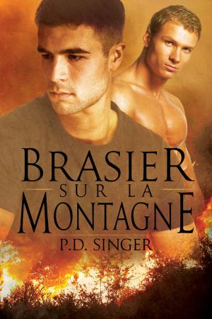 Cover of the book Brasier sur la montagne by Eric Arvin