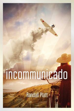 Cover of the book Incommunicado by Danica Davidson