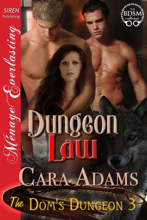 Cover of the book Dungeon Law by Morgan Fox