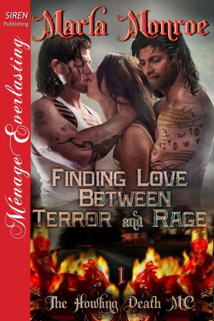 Cover of the book Finding Love Between Terror and Rage by Angelique Voisen