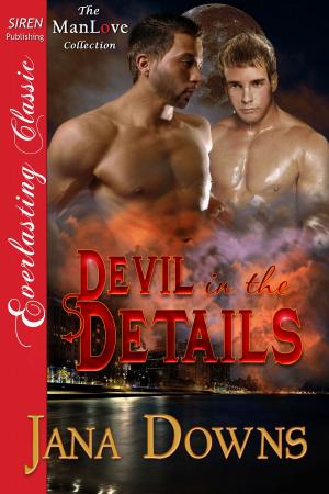 Cover of the book Devil in the Details by Stephanie Rollins