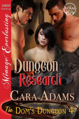 Cover of the book Dungeon Research by Alexandra Scott