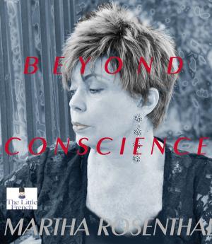 Cover of the book Beyond Conscience by John Borthwick