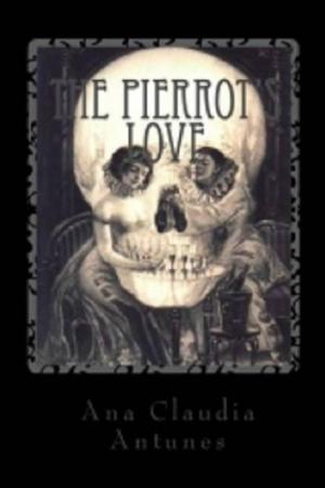 bigCover of the book Pierrot Love: When A Call From The Other Side Takes Its Own Side by 
