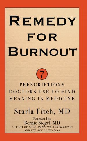 Cover of the book Remedy for Burnout by Lisa Cypers Kamen