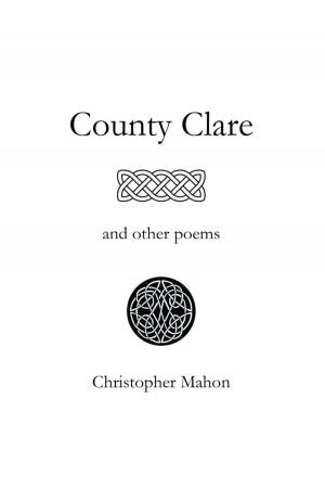 Cover of the book County Clare and Other Poems by Laura Lander LMT
