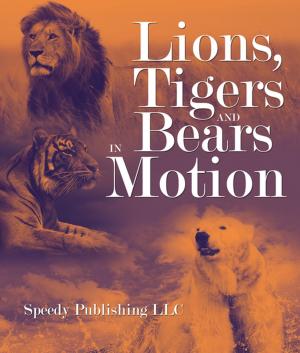Cover of Lions, Tigers And Bears In Motion