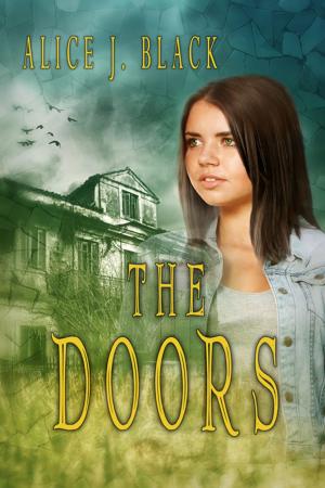 Cover of the book The Doors by G K McGilvary