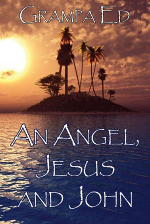 Cover of the book An Angel, Jesus and John by Pauline Panagiotou-Schneider, Guy R. McPherson