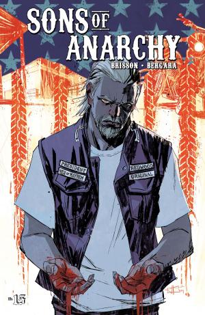 Cover of the book Sons of Anarchy #15 by Shannon Watters, Kat Leyh, Maarta Laiho