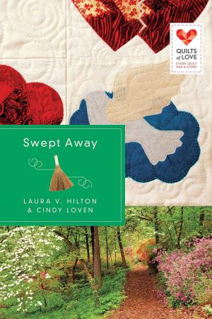 Cover of the book Swept Away by Gail Sattler